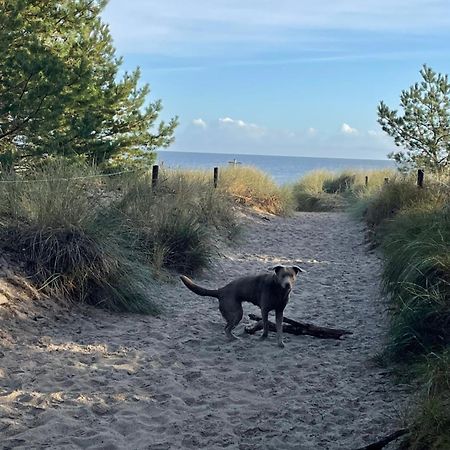 Reet Am Strand Mit Hund Karlshagen Eksteriør billede